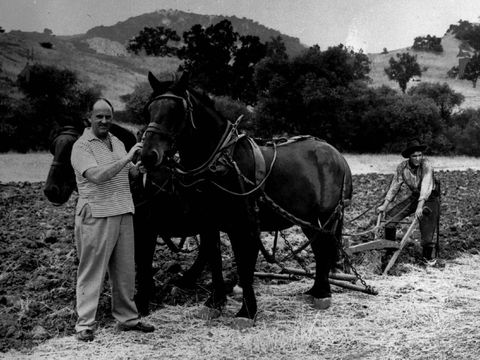 Tom Parker dalam film Love Me Tender (1957) Helping Elvis Presley, right, cut a straight furrow is his business manager and confidant,