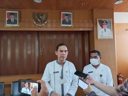 Larangan Beri Makan Kucing Liar di Jakbar Tanpa Sepengetahuan Lurah