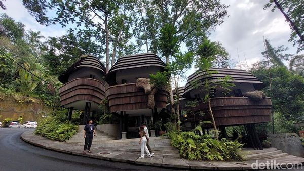 Sarang Lebah Raksasa yang Hits di Ubud