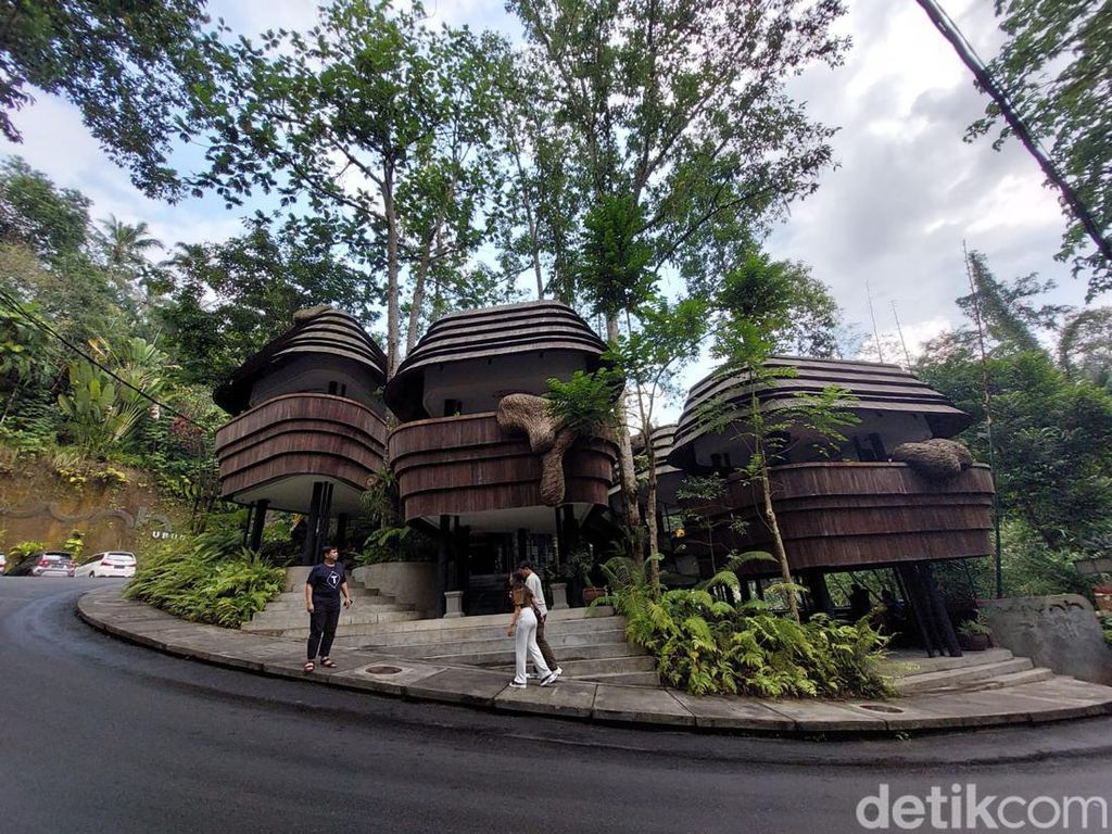 Lagi Hits di Ubud, Nongkrong di Sarang Lebah Raksasa Lagi Hits di Ubud, Nongkrong di Sarang Lebah Raksasa