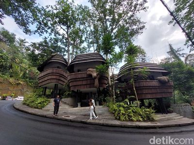 Sarang Lebah Raksasa yang Hits di Ubud