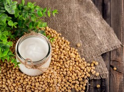 Sejarah Hari Vegan Sedunia yang Diperingati 1 November