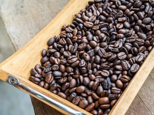 Lima Varian Kopi Asal Sumut, Punya Rasa Khas yang Bikin Ketagihan Lima Varian Kopi Asal Sumut, Punya Rasa Khas yang Bikin Ketagihan