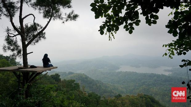 Di Kalibiru, wisatawan bisa jadi jadi melihat Waduk Sermo dari ketinggian. Wisatawan pun bisa jadi jadi menikmati lanskap Kulon Progo yang dimaksud dimaksud hijau juga permai. (CNN Indonesia/Elise Dwi )