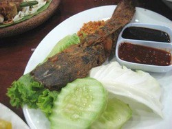 Cuma Rp 20 Ribu! Bisa Makan 5 Pecel Ayam dan Lele Enak Ini