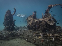 Desa Pemuteran Dinobatkan Jadi Desa Wisata Terbaik Dunia Versi UNWTO