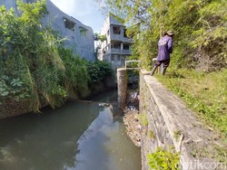 Viral Ratusan Ikan Mati di Sungai Malang Diduga Keracunan