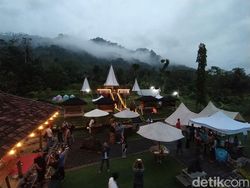 Wow! Terasering Ngargogondo Borobudur, Glamping Bikinan Warga Sedesa