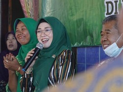 PPP Dukung Langkah Pemerintah Ganti Rugi Ternak yang Mati Akibat PMK
