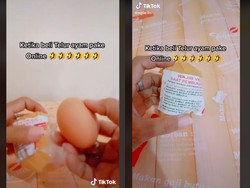 Gabut! Netizen Ini Pesan Telur Ayam 1 Butir via Toko Online