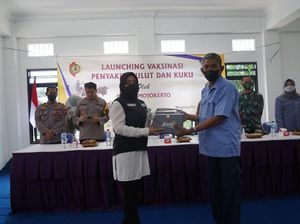 9.300 Dosis Vaksin PMK Siap Disuntikkan ke Sapi Perah di Mojokerto