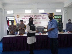 9.300 Dosis Vaksin PMK Siap Disuntikkan ke Sapi Perah di Mojokerto