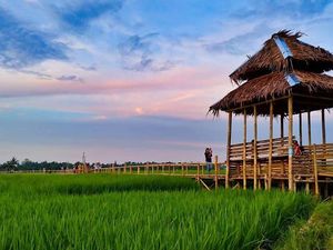 5 Desa Wisata yang Cocok Didatangi Bareng Keluarga di Deli Serdang