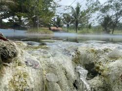 5 Desa Wisata di Deli Serdang, Cocok Dikunjungi Bersama Keluarga