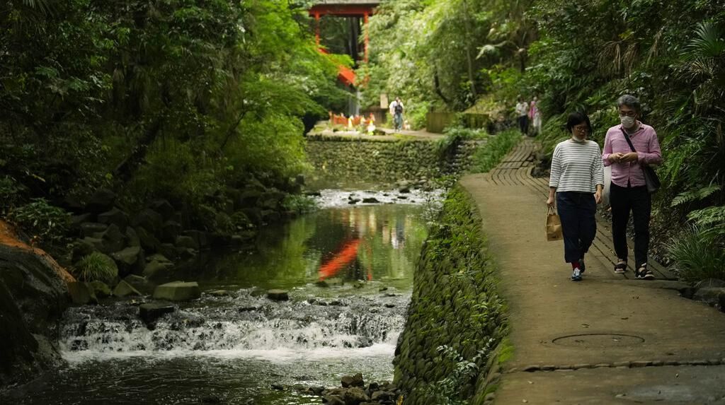Menelusuri Taman Lembah Todoroki Jepang yang Asri Banget