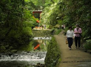 Menelusuri Taman Lembah Todoroki Jepang yang Asri Banget