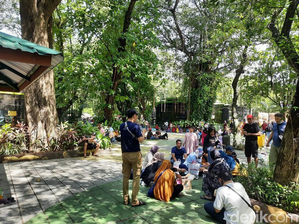 Pengunjung Kebun Binatang Surabaya Membludak Saat Libur Weekend