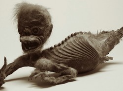 Mumi Putri Duyung yang Dipuja di Jepang Akan Diteliti