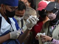 Perawatan Ekstra hingga Jamu Cegah PMK untuk Sapi Surabaya