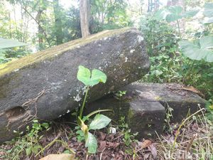 Wujud Pilar Candi Tampir yang Ambruk di Boyolali