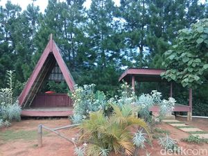 Suguhkan Udara Khas Pedesaan, Vila di Mamasa Ini Punya Banyak Spot Romantis