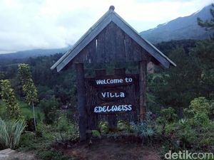 Wisata Romantis di Villa Edelweiss Mamasa, Ada Perahu Cinta yang Estetis Wisata Romantis di Villa Edelweiss Mamasa, Ada Perahu Cinta yang Estetis