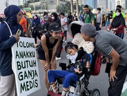 Legislator Dorong Pemerintah Segera Kaji Ganja Medis Usai Ada Putusan MK