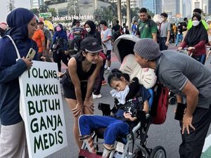 Legislator Dorong Pemerintah Segera Kaji Ganja Medis Usai Ada Putusan MK Legislator Dorong Pemerintah Segera Kaji Ganja Medis Usai Ada Putusan MK