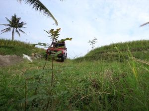 Jelajahi Indahnya Wisata Pedesaan di Karanganyar