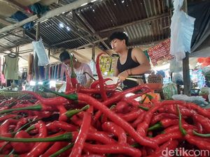 Makin Pedas, Harga Cabai Merah di Pekanbaru Rp 120 Ribu/Kg Hari Ini Makin Pedas, Harga Cabai Merah di Pekanbaru Rp 120 Ribu/Kg Hari Ini