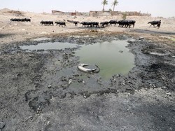 Ratusan Demonstran di Iran Protes Kekurangan Air