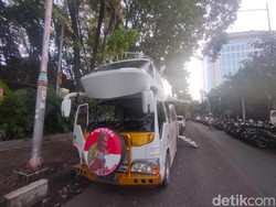 Berkenalan dengan Keluarga Kura-kura yang Hidup Nomaden