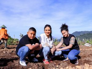 7 Momen Krisdayanti & Anaknya Panen Kentang Bareng Petani, Gayanya Disorot