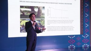 Kunjungan Wisatawan ke TN Komodo akan Dibatasi