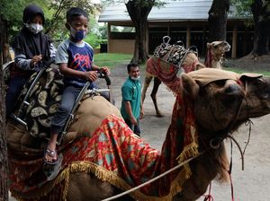 Libur Sekolah ke Taman Satwa Taru Jurug Solo, Seru Juga!