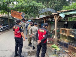 Kesaksian Miris Warga Saat Beli Kucing di Pasar Splendid: Lek Saaken Tukuen