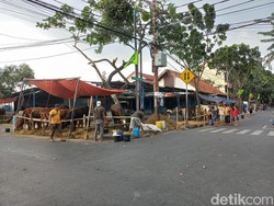 Pemkot Jakpus Bakal Relokasi Pedagang Hewan Kurban di Trotoar Johar Baru