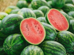 Jualan Semangka untuk Pengobatan Cucu, Kakek Ini Dapat Rp 221 Juta