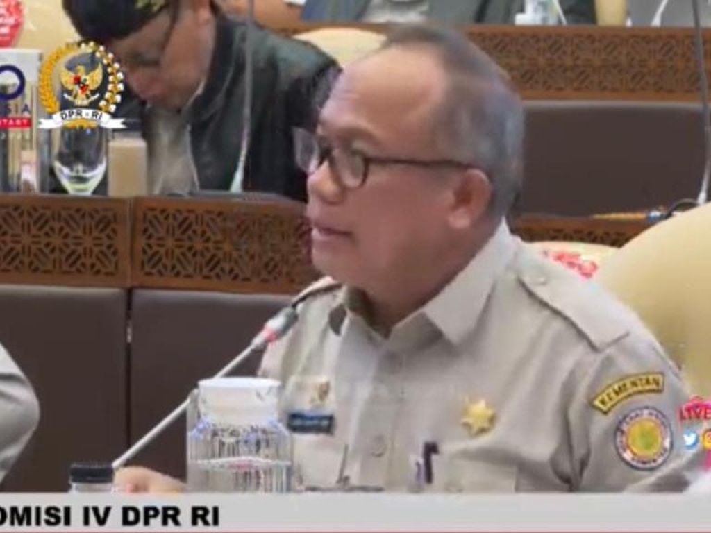 Kementan Ungkap 216 Kabupaten/Kota Kini Terdampak Kasus PMK