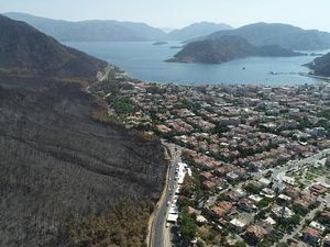 Potret Hutan di Turki yang Hitam-Tandus Akibat Kebakaran