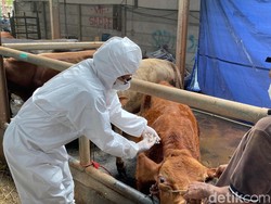 Sejumlah Daerah di Jabar Mulai Laksanakan Vaksinasi PMK