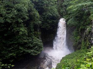 5 Fungsi Air Bagi Tumbuhan, Ini Penjelasannya Secara Lengkap 5 Fungsi Air Bagi Tumbuhan, Ini Penjelasannya Secara Lengkap