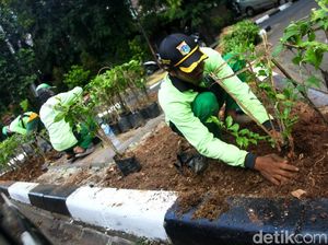 Aksi Pasukan Hijau Mempercantik Jalanan Jakarta Aksi Pasukan Hijau Mempercantik Jalanan Jakarta