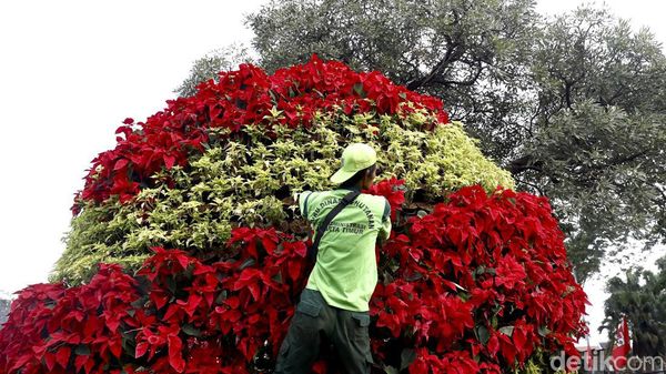 Begini Lho Proses Perawatan Tanaman di Jalanan Jakarta