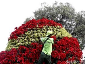 Begini Lho Proses Perawatan Tanaman di Jalanan Jakarta Begini Lho Proses Perawatan Tanaman di Jalanan Jakarta
