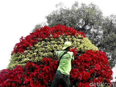 Begini Lho Proses Perawatan Tanaman di Jalanan Jakarta
