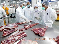 Bulog Pastikan Daging Kerbau Impor dari India Bebas PMK, Ini Buktinya