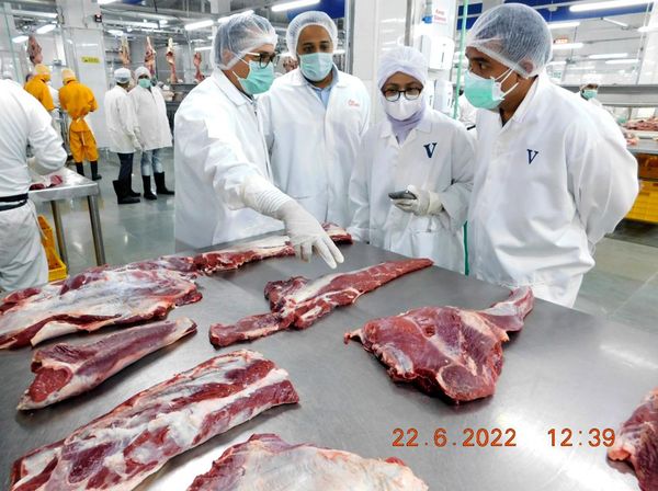 Ke India, Anak Buah Buwas Cek Daging Kerbau Sebelum Masuk RI