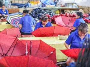 Ternyata Begini Proses Pembuatan Payung