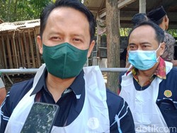 Balai Besar Veteriner Wates: Seluruh Wilayah Jateng Terjangkit PMK